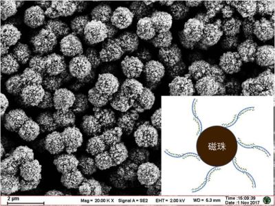 南京東納生物科技有限公司