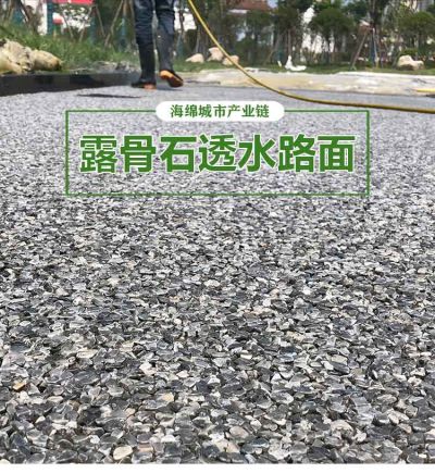 海綿城市生態建設工程(廣東)有限公司